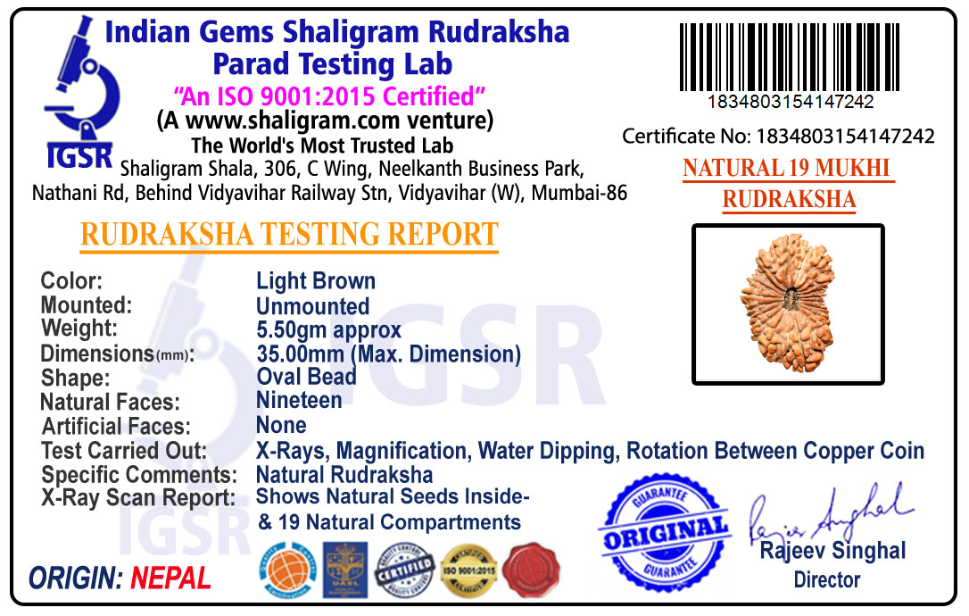 product-img/RD-19-C-B-04 1834803154147242-new.jpg